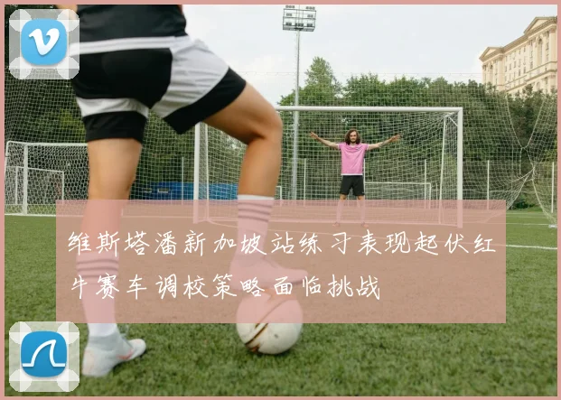维斯塔潘新加坡站练习表现起伏红牛赛车调校策略面临挑战