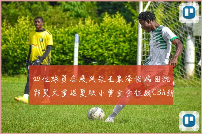 四位球员各展风采王泉泽伤病困扰郭昊文重返夏联小曾金金征战CBA新赛季